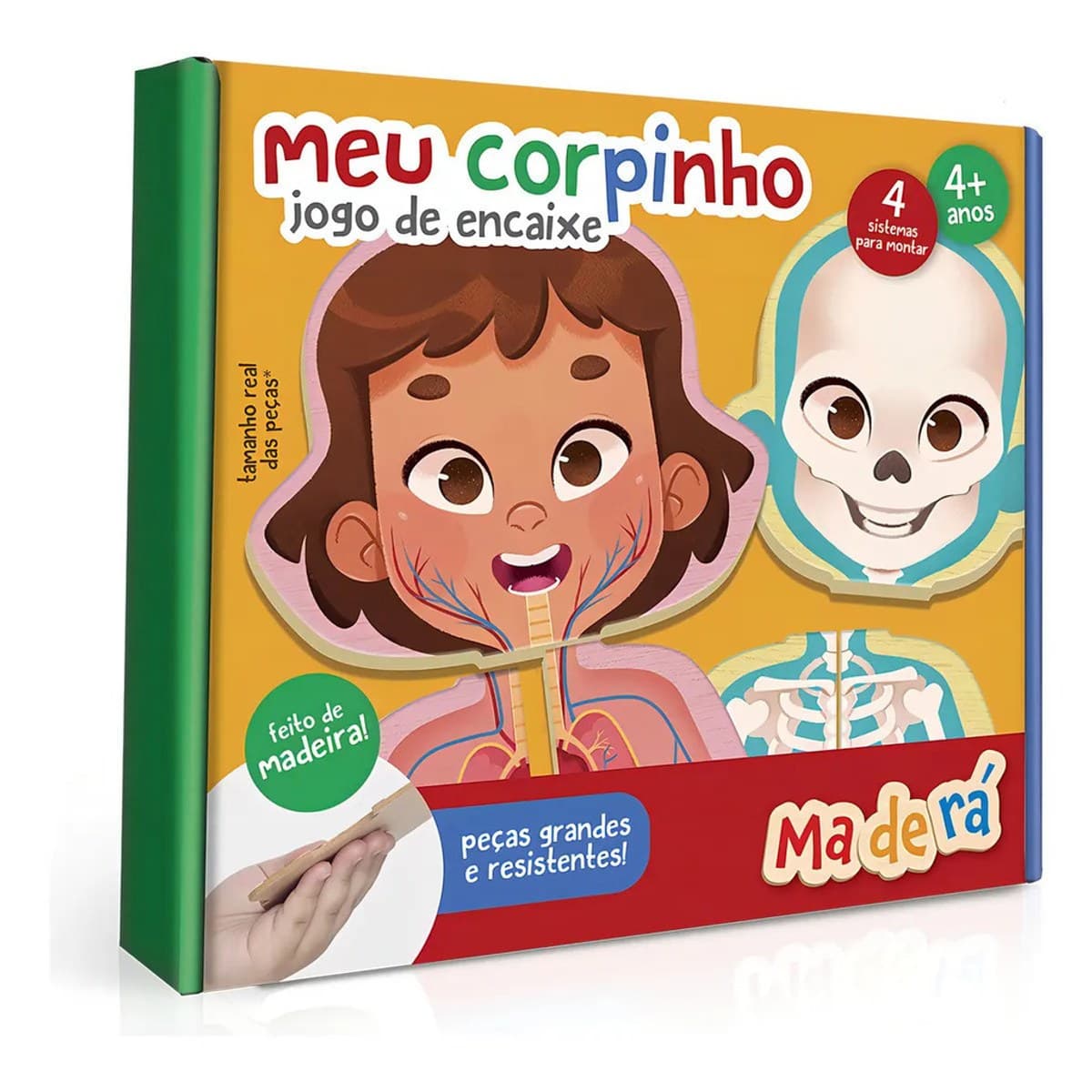 Meu Corpinho
